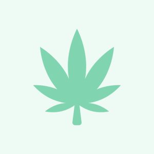 Cannabis Social Club Lower Ground Diez e.V.