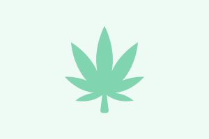 Der Hempy Bucket: Eine einzigartige Cannabis-Anbaumethode