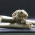 Die Gelato #41 Cannabis-Sorte: Ein Überblick
