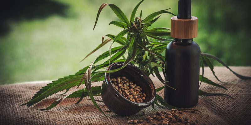 CBD vs. THC: Understanding the Differences and Benefits