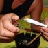 Cannabis Indoor-Grow: Wie du deine Stromkosten effektiv senken kannst