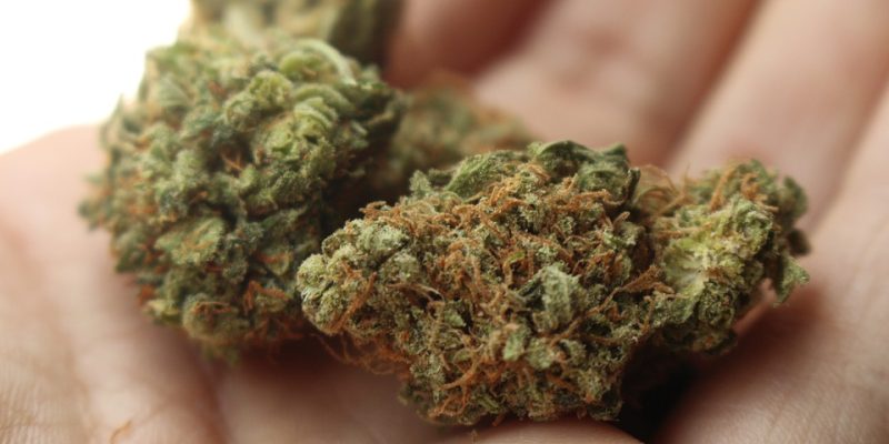 Warum Joint Filter ein Muss für jeden Cannabis-Raucher sind